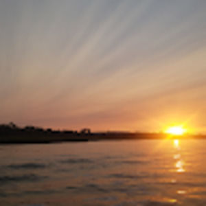 Meet your Posher, Mario